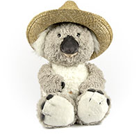 Koala avatar